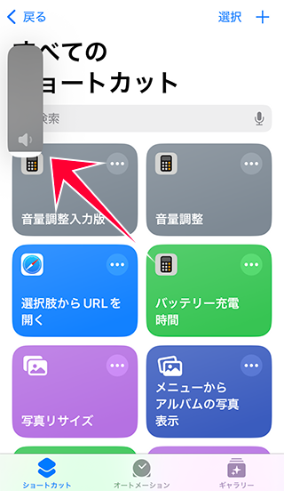 音量調整入力版での実行